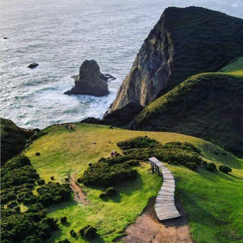 Chiloé national park